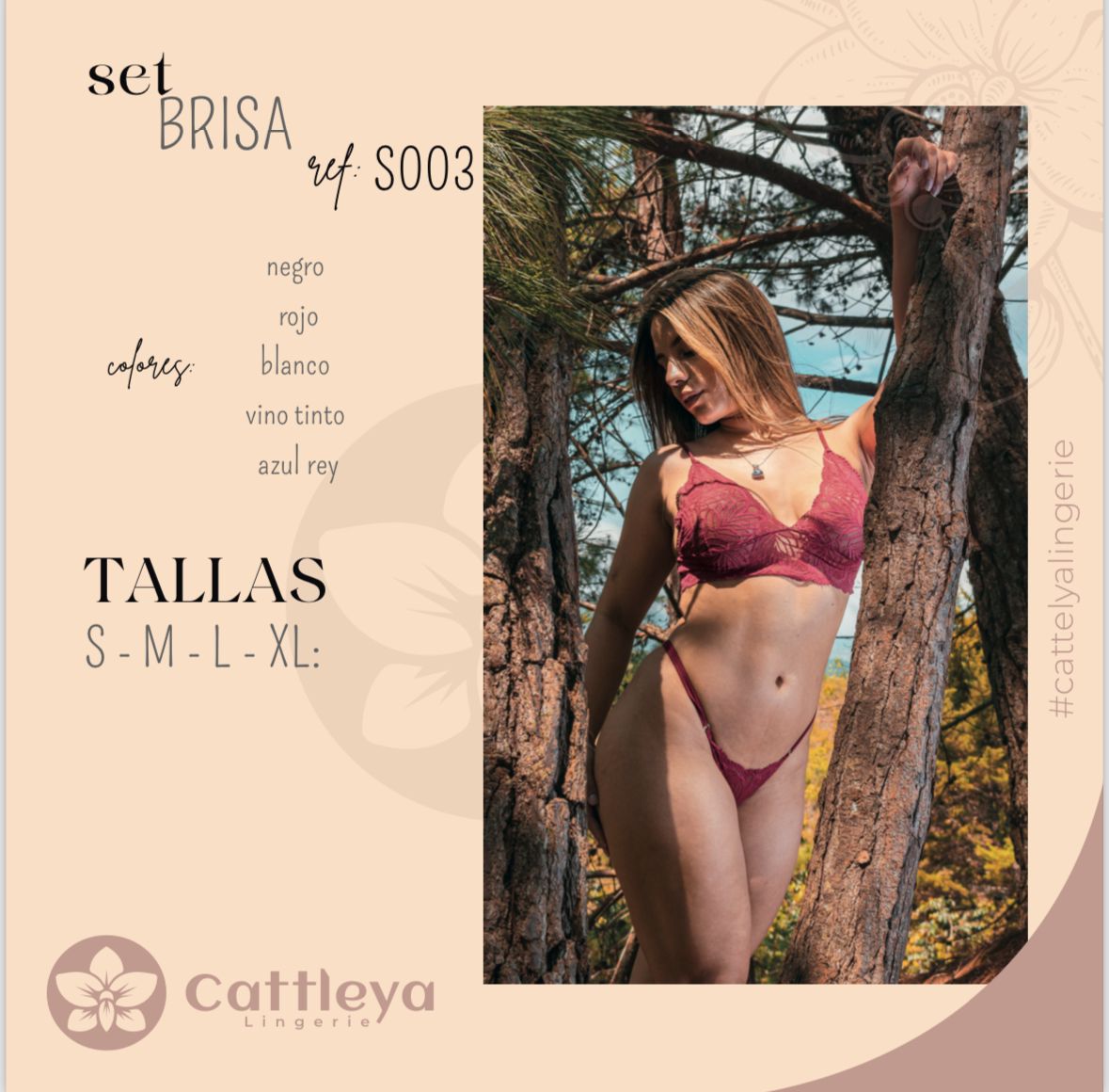 SET BRISA